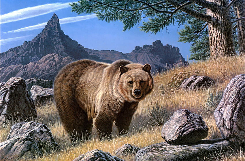 クマのアート 高画質 > サブ、クールなネイティブ アメリカンのクマ 高画質の壁紙