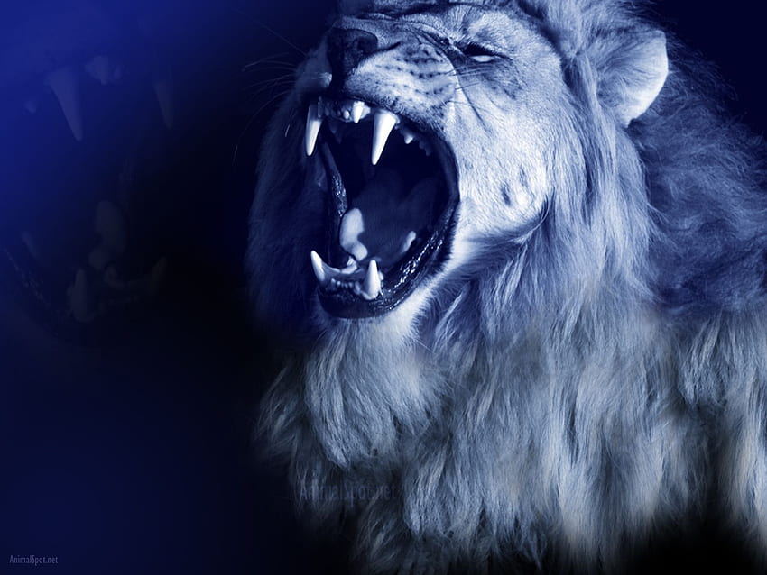 Free blue lion Photos & Pictures | FreeImages