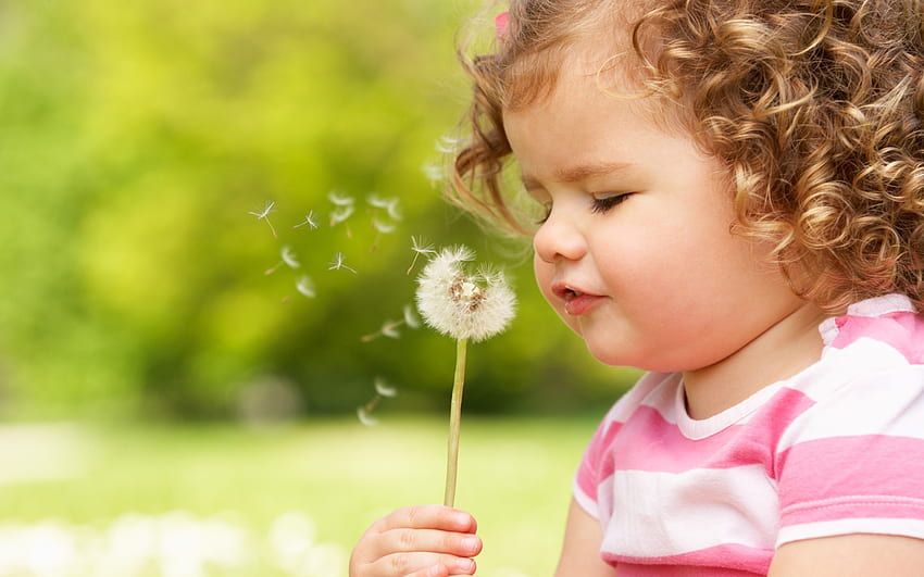 A Curly Child Blowing a Dandelion HD wallpaper