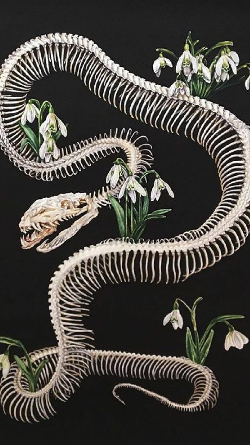 Bones after life, terrestrial animal, flowers, snake bones HD phone wallpaper