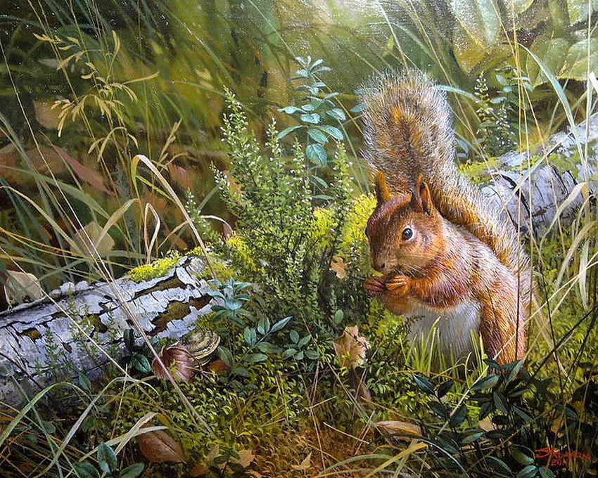 Beautiful squirrel in nature, animal, colorful, painting, landscape, beautiful, nature, splendor, squirrel HD wallpaper