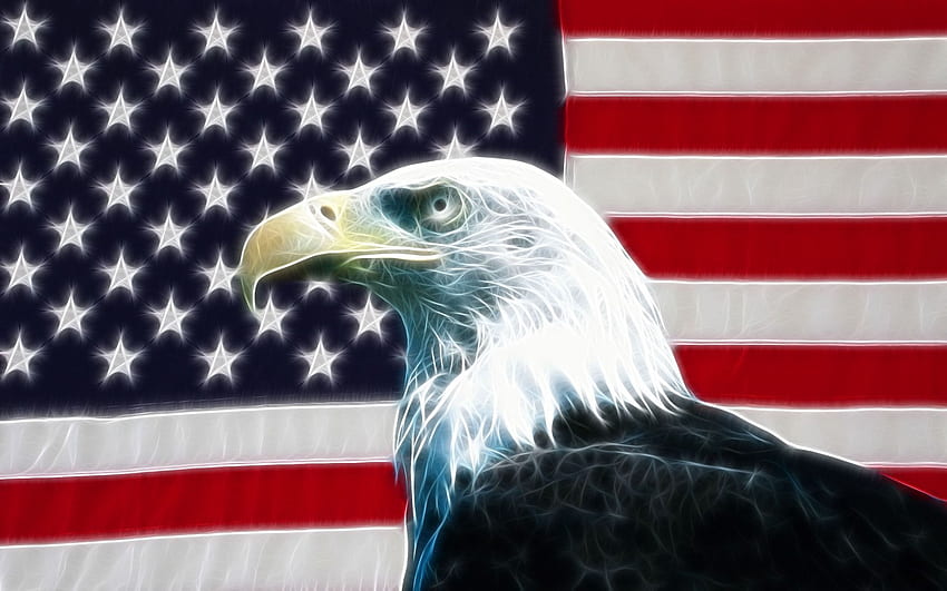 American eagle PC y Mac [] para su, móvil y tableta. Explora América. bandera estadounidense, nativo americano fondo de pantalla