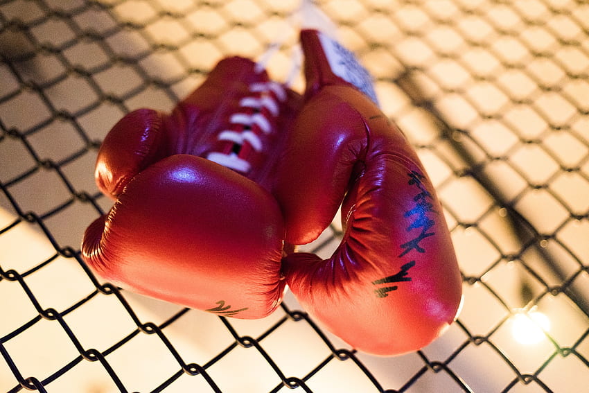 Sports, Boxing, Fight, Struggle, Boxing Gloves HD wallpaper