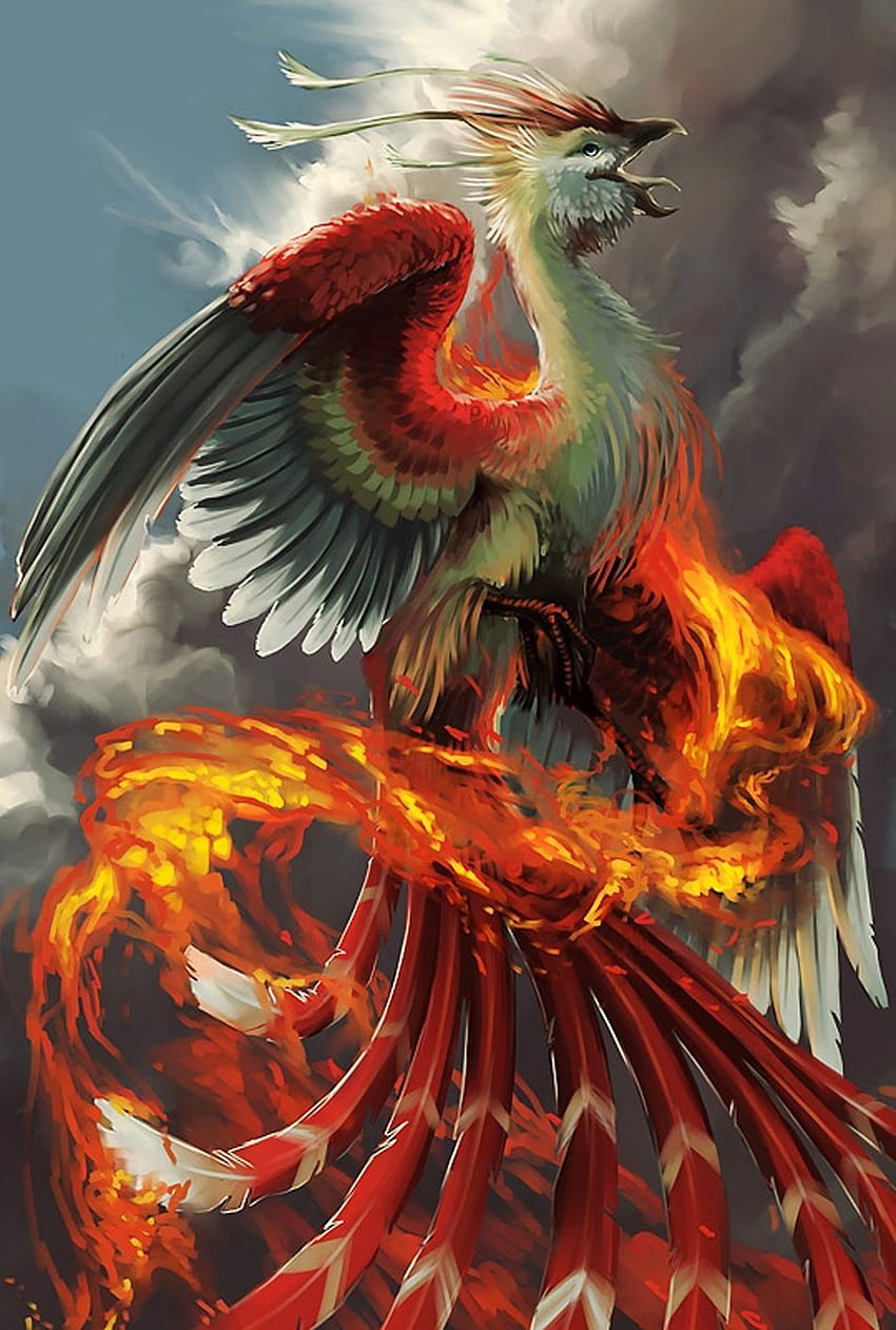 Phoenix 162. Phoenix , Phoenix artwork, Mythical creatures art, Mythical Phoenix HD phone wallpaper