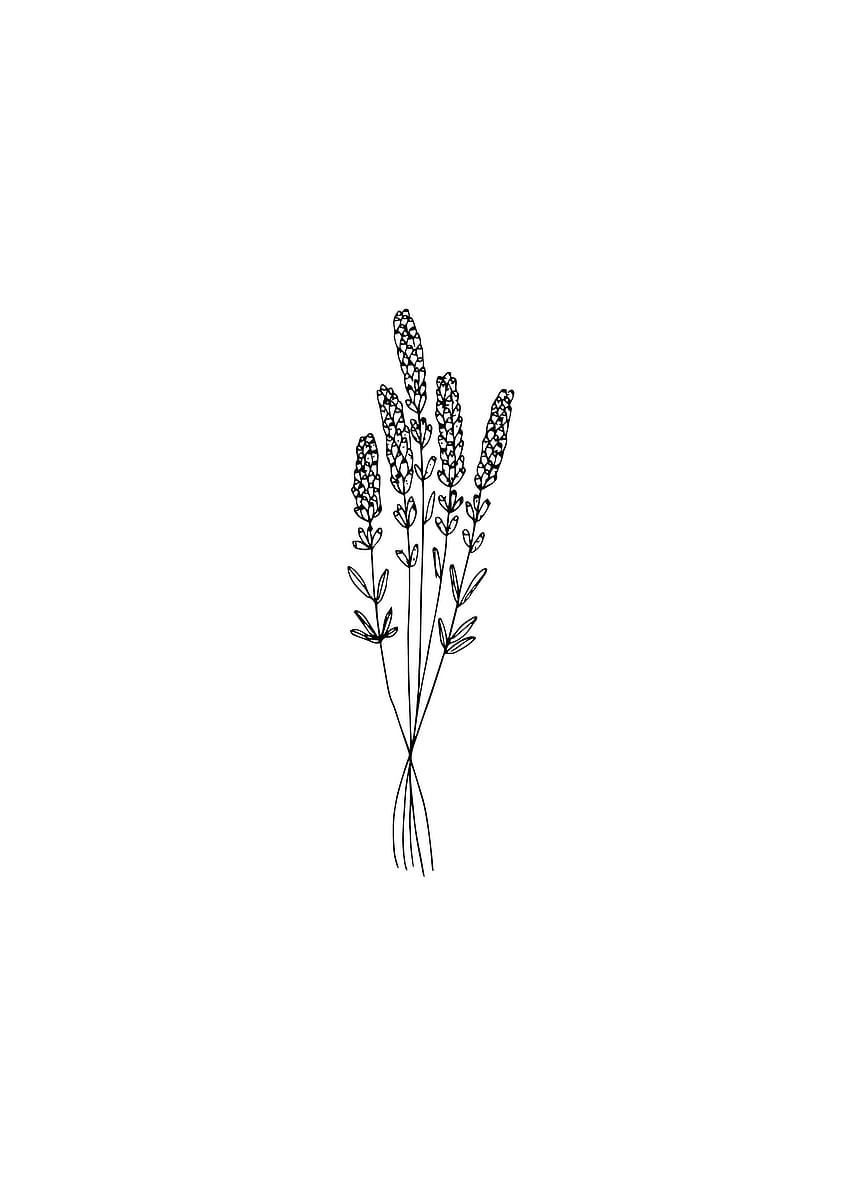 Minimalistyczne estetyczne rysunki kwiatów, estetyczna sztuka kwiatowa Tapeta na telefon HD