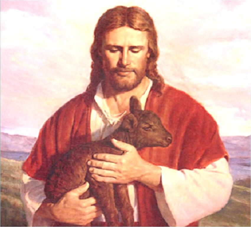 Исус Христос добрият пастир, бог, овца, Исус, Христос, пастир, религия, християнство HD тапет