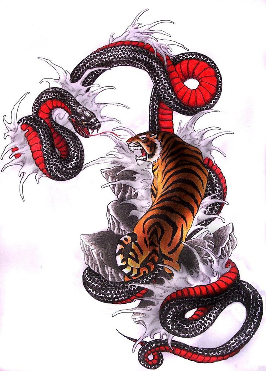 Premium Vector | Tiger snake illustration