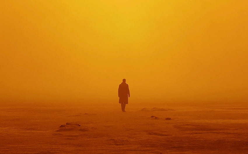 Blade Runner 2049, Officer K, , Movies,. for iPhone, Android, Mobile and HD wallpaper