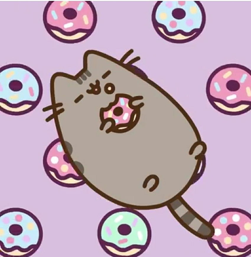 Pusheen. Glücklicher nationaler Donut-Tag. Pusheen süß, Pusheen-Katze, Pusheen HD-Handy-Hintergrundbild