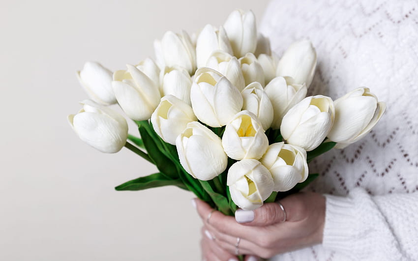 white tulips, bride, wedding, bridal bouquet, tulips in the hands of the bride, white wedding dress, tulips HD wallpaper