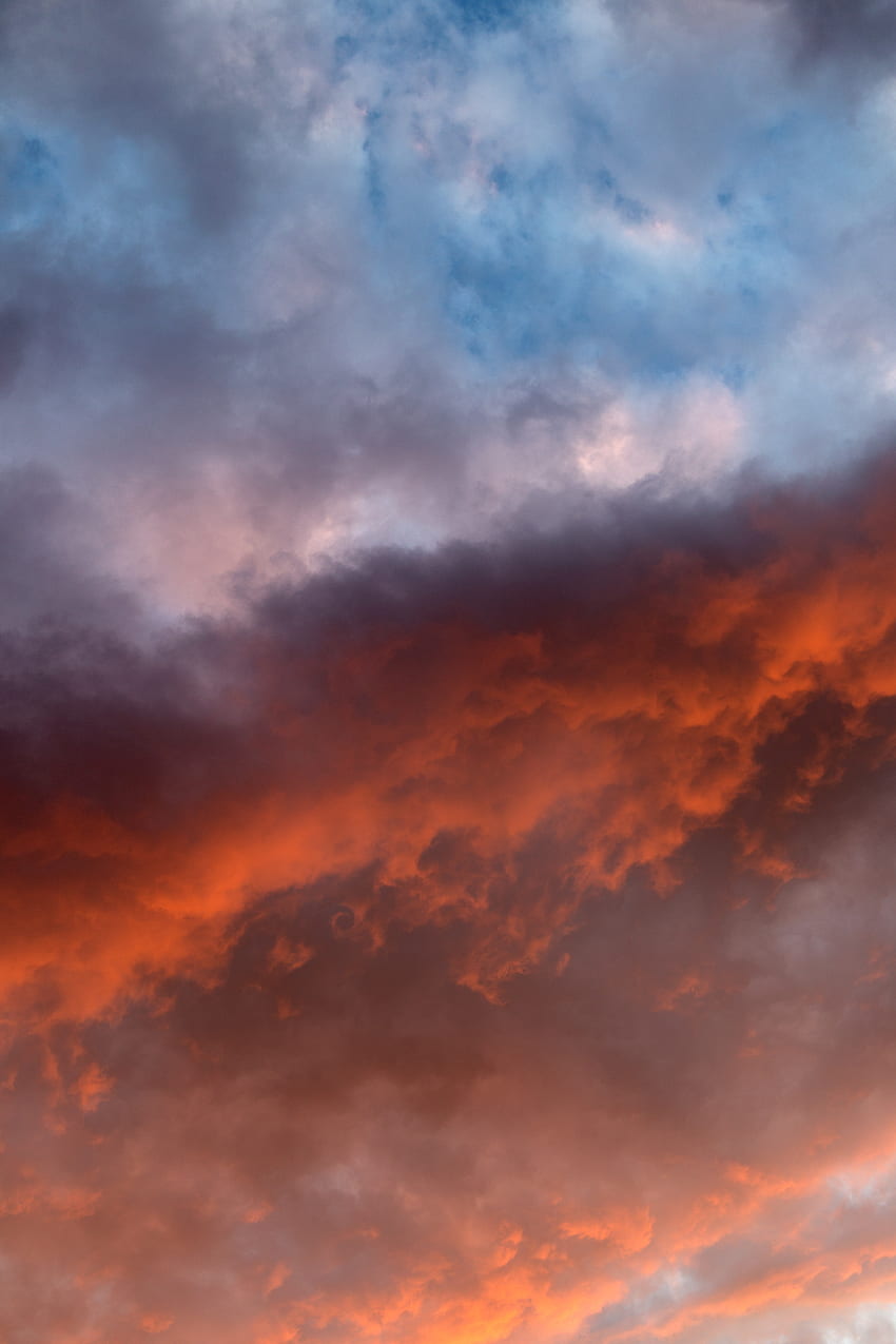 Nature, Sunset, Sky, Clouds, Sunlight, Atmosphere, Environment HD phone wallpaper