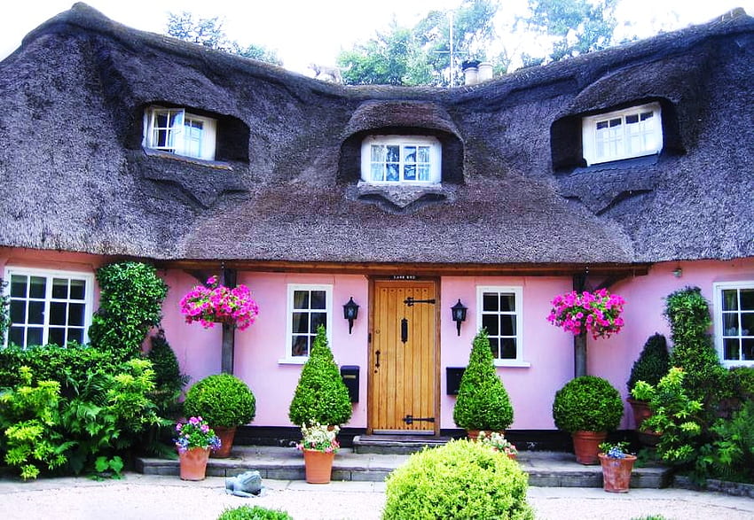 Piccolo cottage rosa, rosa, tetto di paglia, cespugli, alberi, cottage Sfondo HD