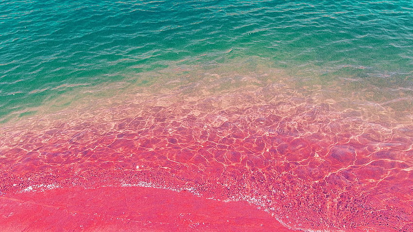 für seinen Laptop. Meerwasser Strand Sommer Natur Rosa, Pink Beach Laptop HD-Hintergrundbild