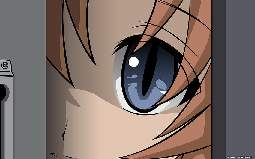 Zerkanie, niebieski, niebieskie oko, dziewczyna, szary, brązowy, anime, drzwi, oko Tapeta HD