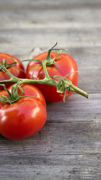 Benefits of tomatoes, the natural sunscreen