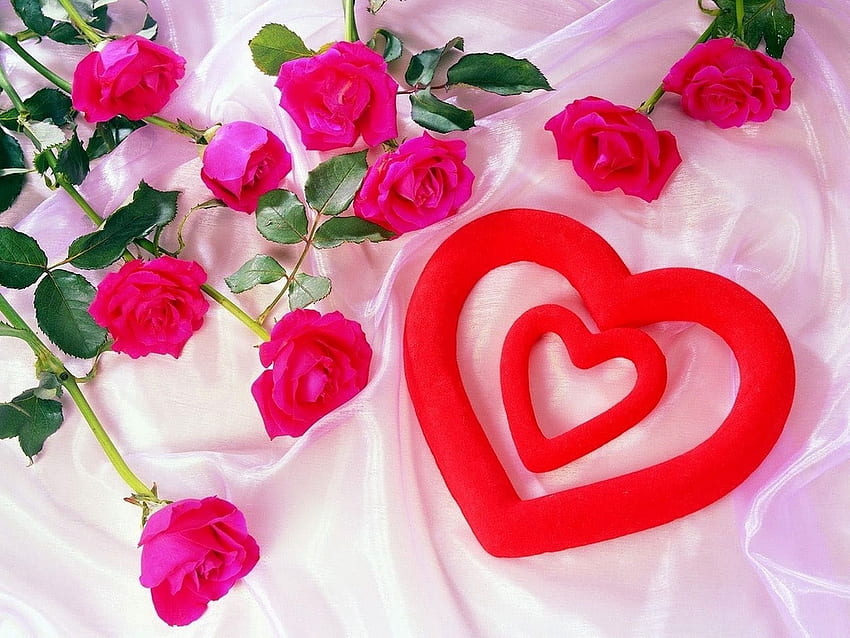 Piękny kwiat miłości. Top Kolekcja różnych rodzajów kwiatów w Tapeta HD
