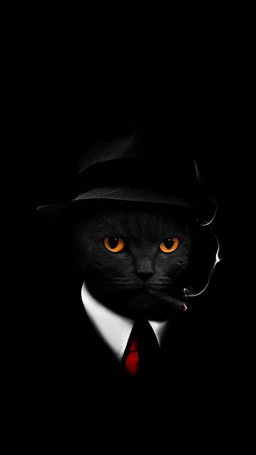 COOL CAT by hende09 - 40 now. Browse millions of popula. iPhone cat, Cat phone , Cool for phones, Dope Cat HD phone wallpaper