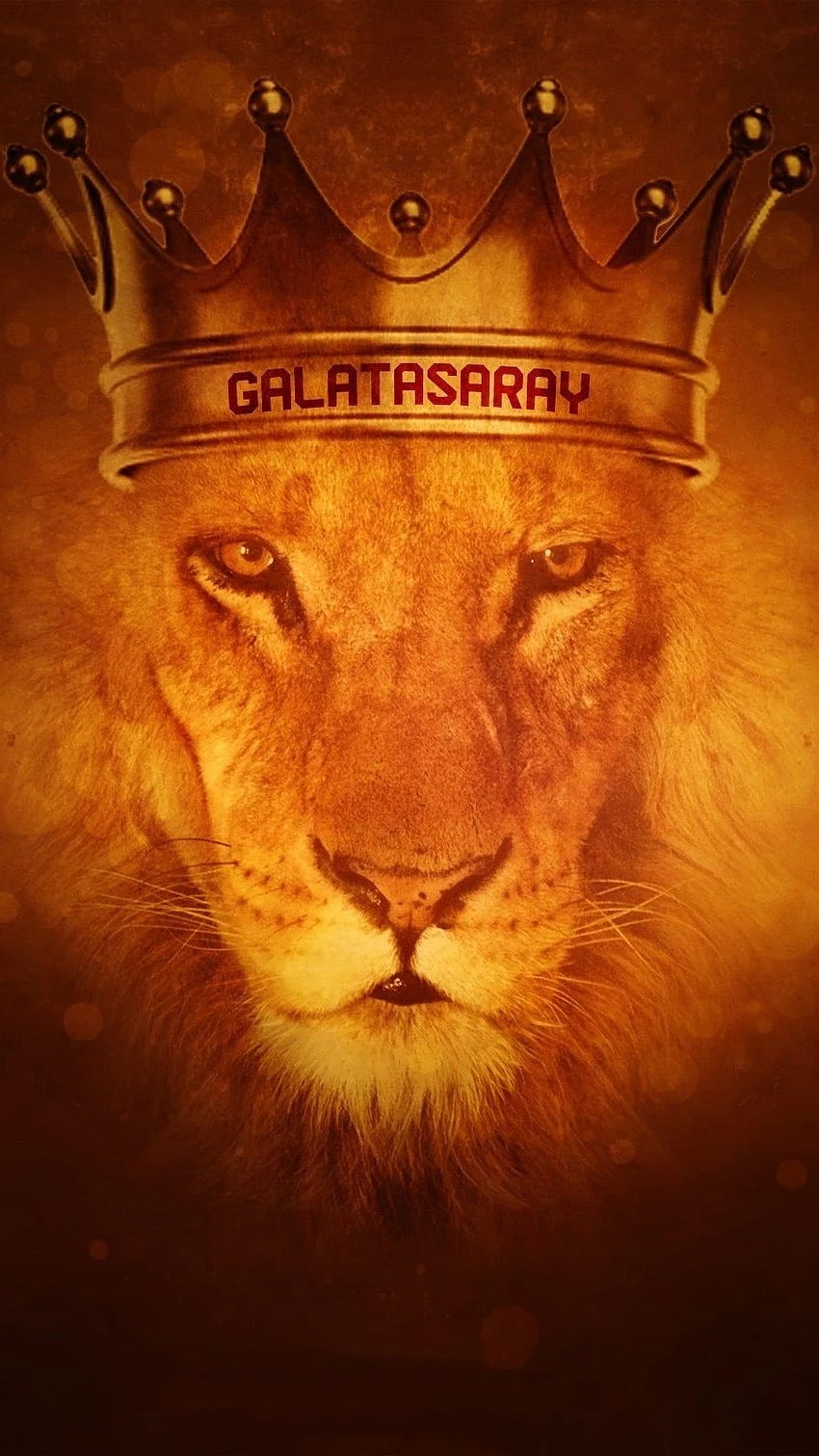 Fire Lion, Lion King, Crown HD phone wallpaper