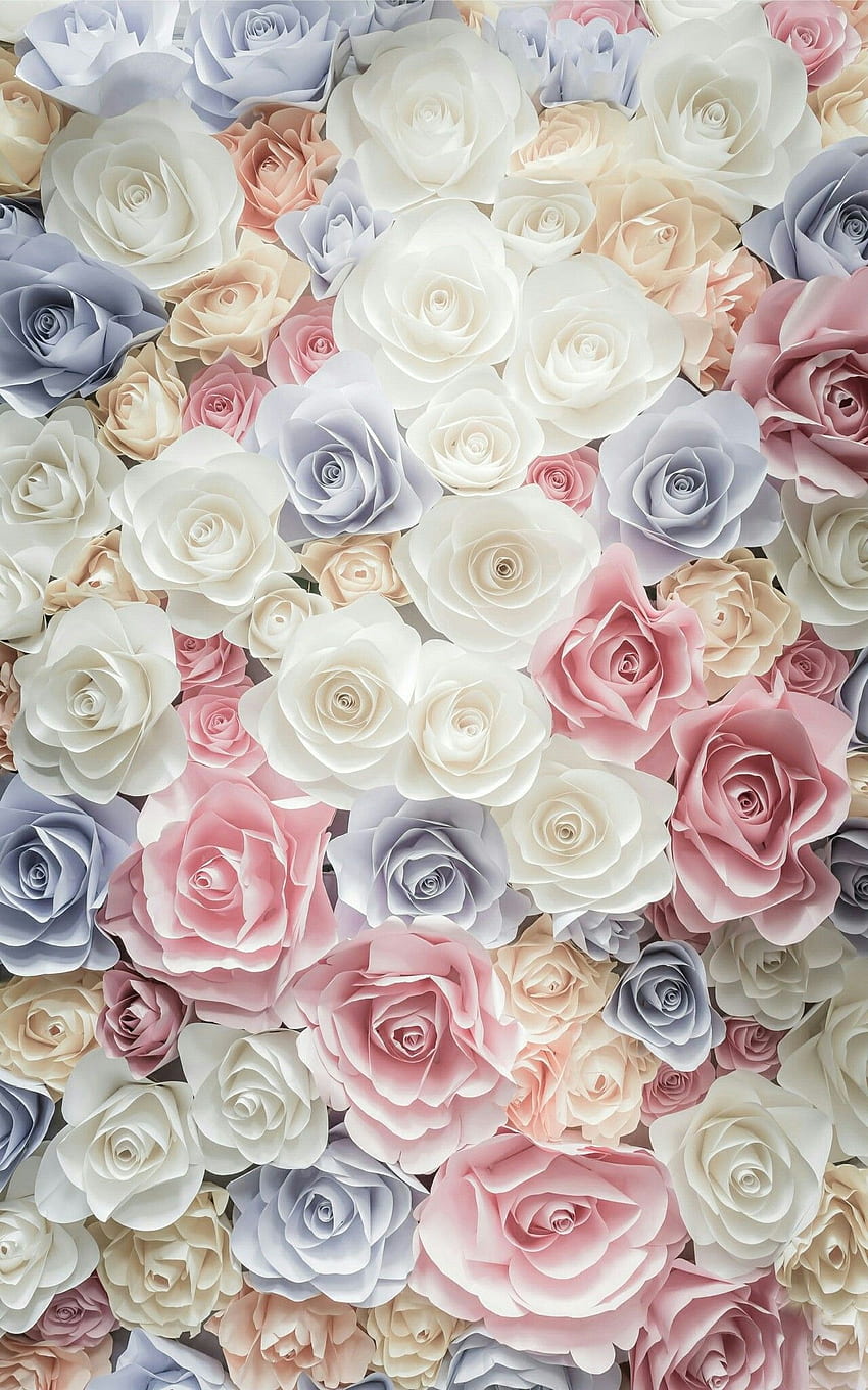 IPhone . Blume, Gartenrosen, Rose, Schnittblumen, Blumenstrauß HD-Handy-Hintergrundbild