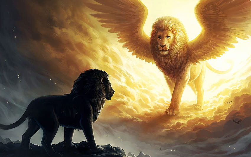 Golden Lion, Lion Cross HD wallpaper