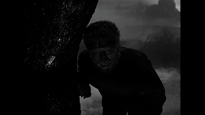 Universal Classic Monsters Icon Of Horror Collection Ultra Blu Ray Ultra Review. High Def Digest HD wallpaper