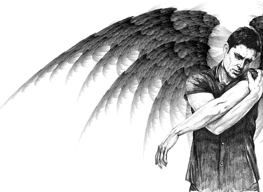 How to Draw Angel Wings | Envato Tuts+