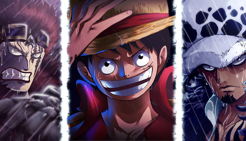 One Piece Team Art Laptop , Anime , , and Background HD wallpaper | Pxfuel