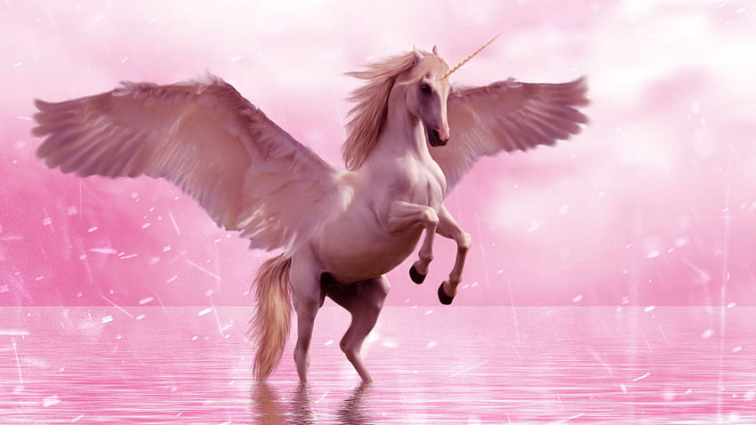 unicorn, wings, horse, fantasy, Unicorn And Mermaid HD wallpaper