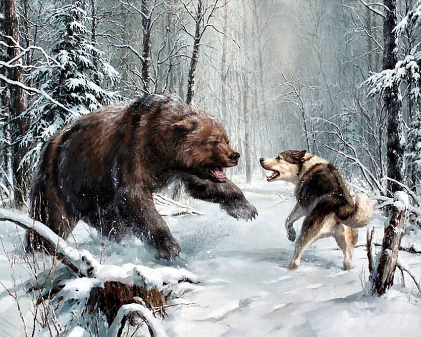 Bear Versus Wolf FC, 冬, アート, 風景, 美しい, オオカミ, 四季, イラスト, アートワーク, 風景, ワイド スクリーン, 野生動物, 絵画, クマ, 雪 高画質の壁紙