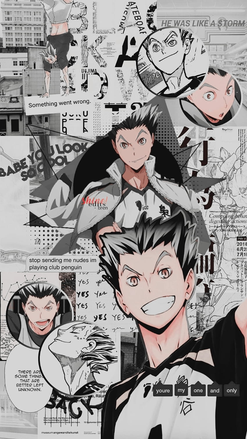 HD bokuto wallpapers  Peakpx