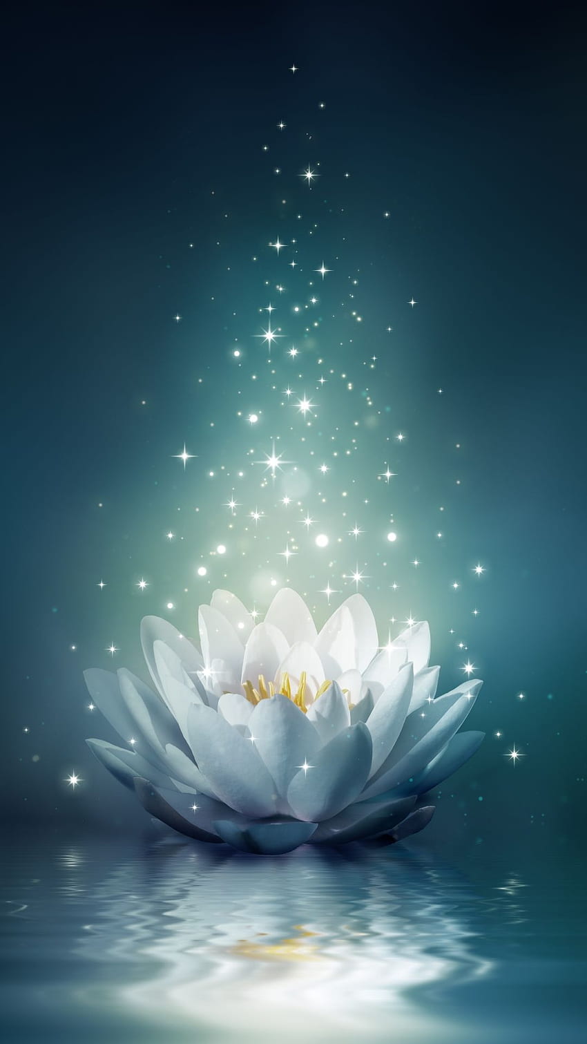 HD wallpaper pink and white lotus flower water lily mobile phone  background  Wallpaper Flare