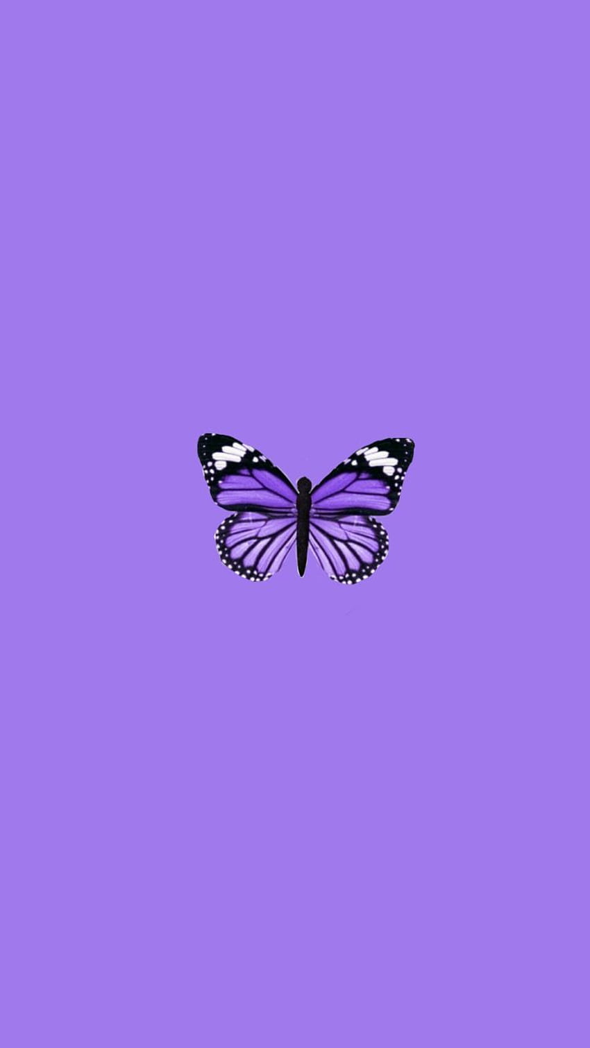 Purple butterfly aesthetic HD wallpapers | Pxfuel