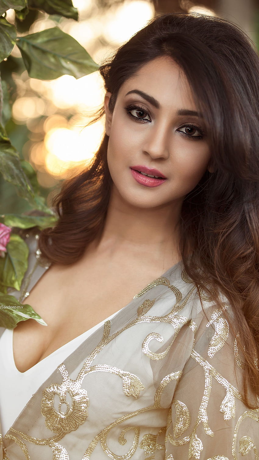 aindritha-ray-kannada-actress-cleavage-hd-phone-wallpaper-pxfuel