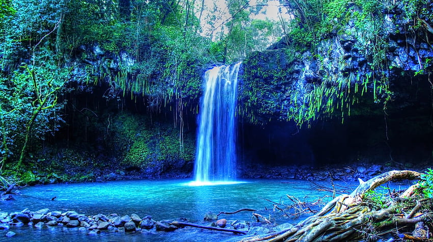 agua tropical, Bosque tropical, Hawái, Isla de Maui, Maui, Palmeras, Playa, Cascada y móvil fondo de pantalla