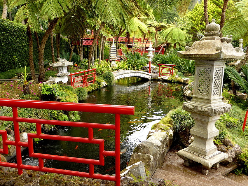 Jardín chino, puente, árboles, decoración, agua. fondo de pantalla