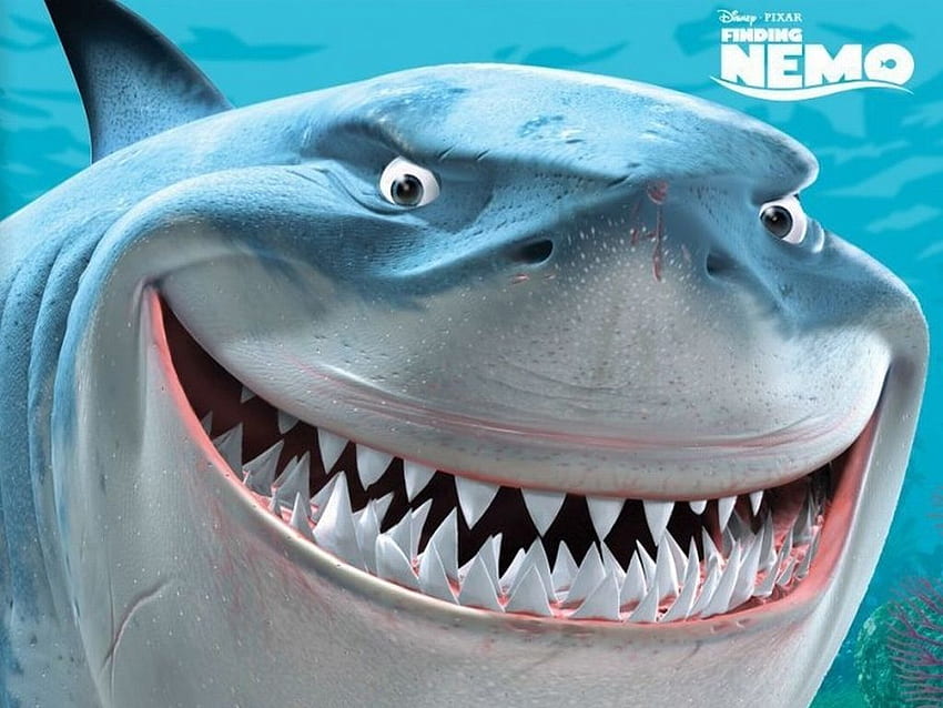 Finding Nemo : Finding Nemo, Bruce the Shark . Finding nemo, Nemo, Disney finding nemo HD wallpaper