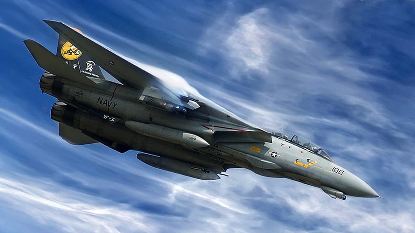 Grumman F 14 Tomcat สำหรับพื้นหลัง วอลล์เปเปอร์ HD