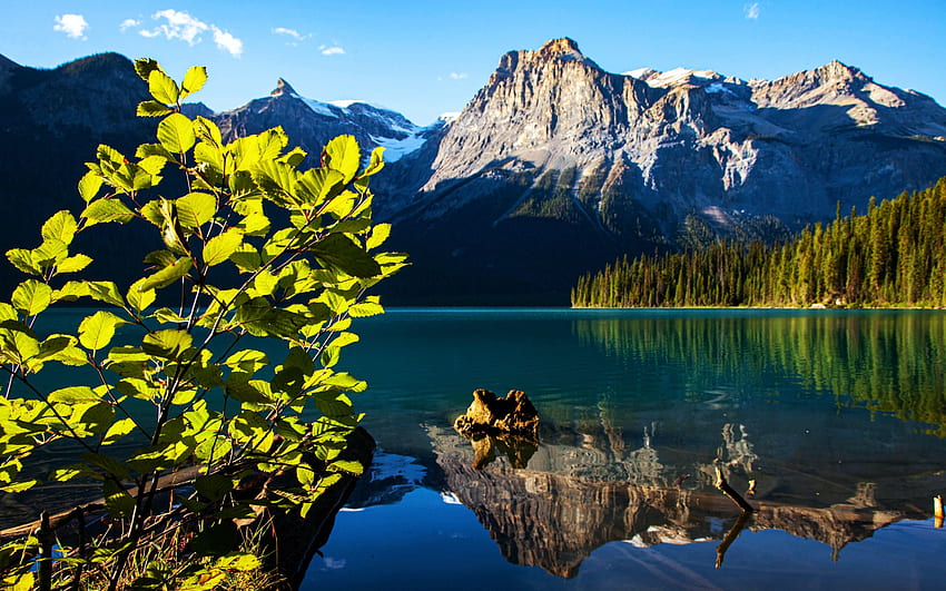 Emerald Lake, Yoho National Park, British Columbia, reflexão, nuvens, árvores, céu, Canadá, montanhas, água papel de parede HD