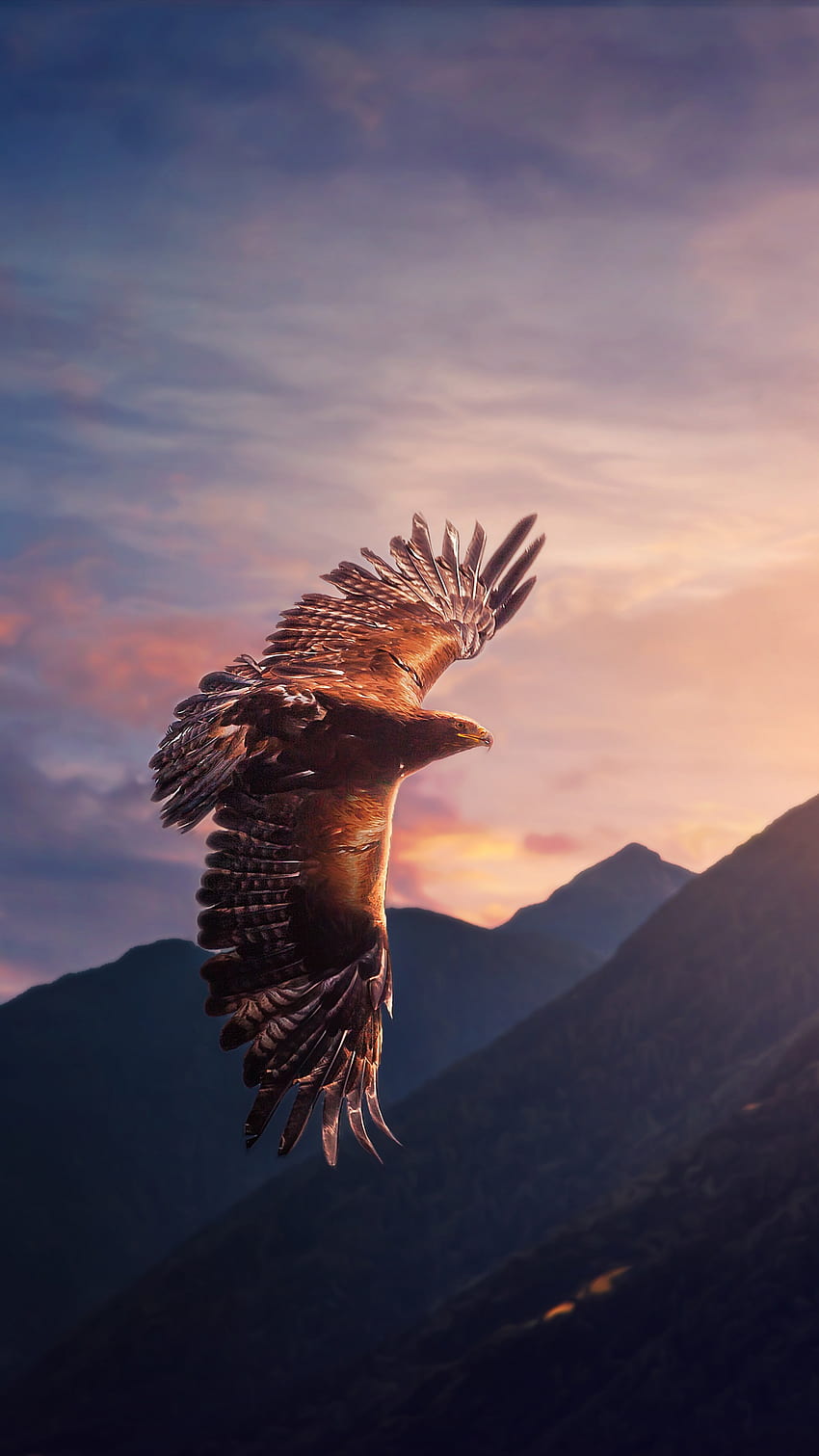 Eagle , Sunset, Mountains, Evening sky, Birds of Prey, Animals, Eagle Flying HD phone wallpaper