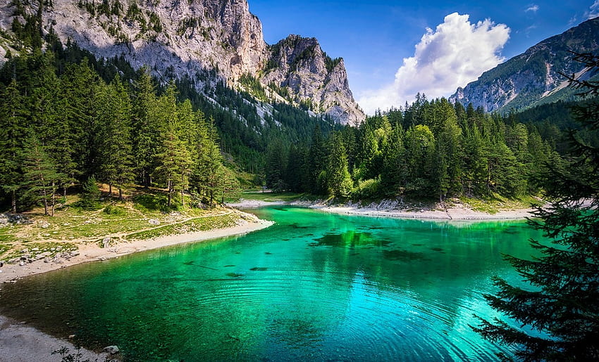 lago, foresta, verde, montagna, acqua, estate, erba, scogliera, nuvole, Austria, natura, paesaggio / e mobile Sfondo HD