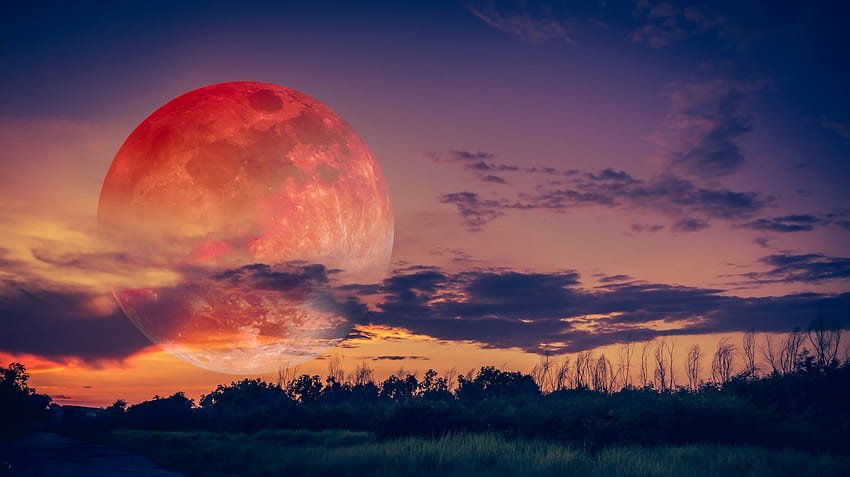 When You'll See This Month's 'Pink Super Moon' in Australia, Super Moon at Sunset HD wallpaper