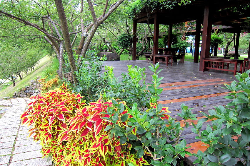 Ein Pavillon, grünes Dach, Pflanze, Weg, Pavillon, Blumen HD-Hintergrundbild