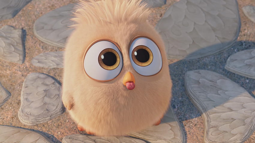 Hatchling In The Angry Birds Movie, Movies, , , Background e, Cute Cartoon Bird papel de parede HD