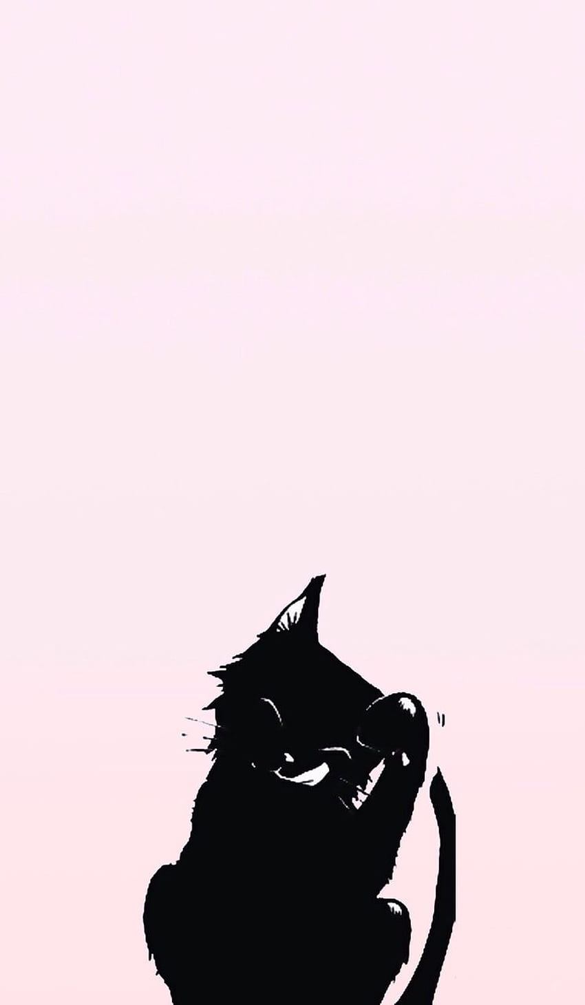 about tumblr. See more about, Aesthetic Black Cat HD phone wallpaper