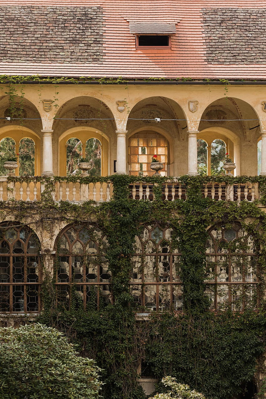 Walden au jardin du Schloss Hollenegg 2020. *, Château intérieur Fond d'écran de téléphone HD