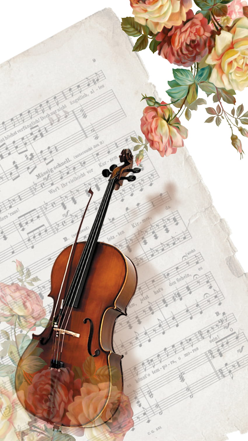 Violine, MUSIK, DESIGN, BRIEF, LIED, BLUMEN, IPHONE, SAMSUNG, MUSICAL HD-Handy-Hintergrundbild