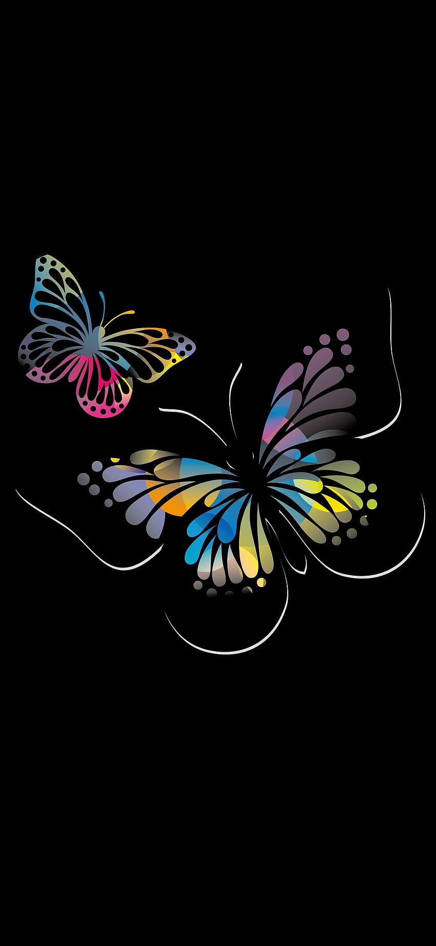 Dark, magenta, moths and butterflies HD phone wallpaper