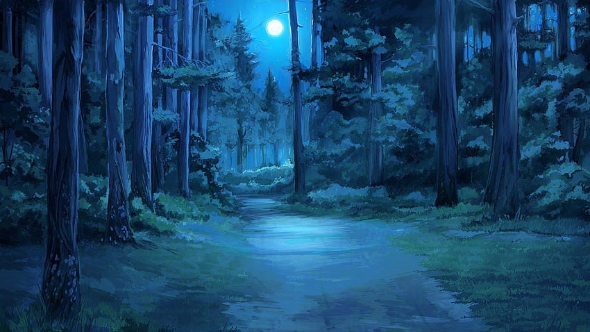 Anime Forest Night. Fantasy forest, Anime scenery, Fantasy landscape,  Magical Night Forest HD wallpaper | Pxfuel