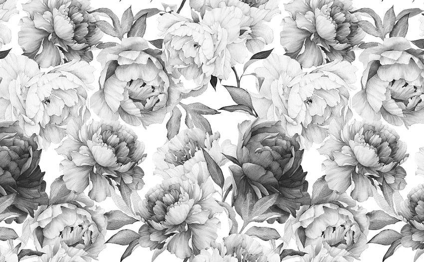 Удебелен флорален модел за стени. Clara Black & White, Simple White Floral HD тапет