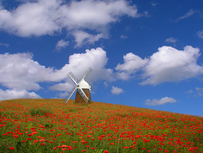 windmill, air HD wallpaper